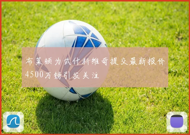布莱顿为武什科维奇提交最新报价4500万镑引发关注