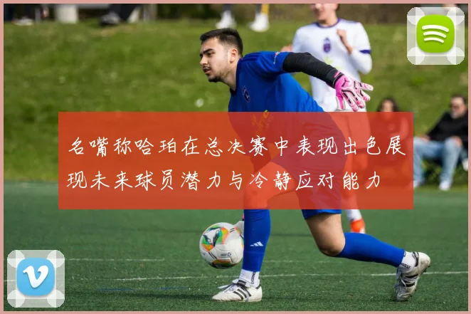 名嘴称哈珀在总决赛中表现出色展现未来球员潜力与冷静应对能力